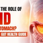 what is the role of acid in our stomach
