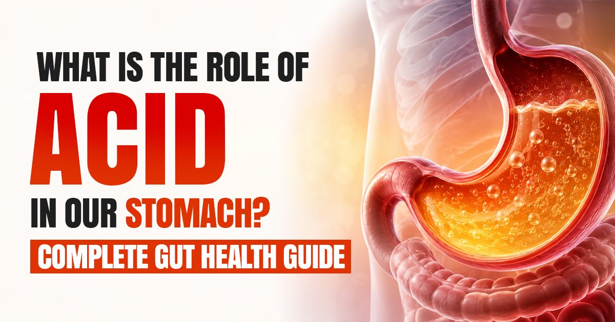 what is the role of acid in our stomach